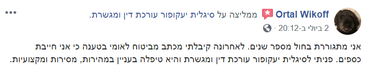 המלצת לקוח